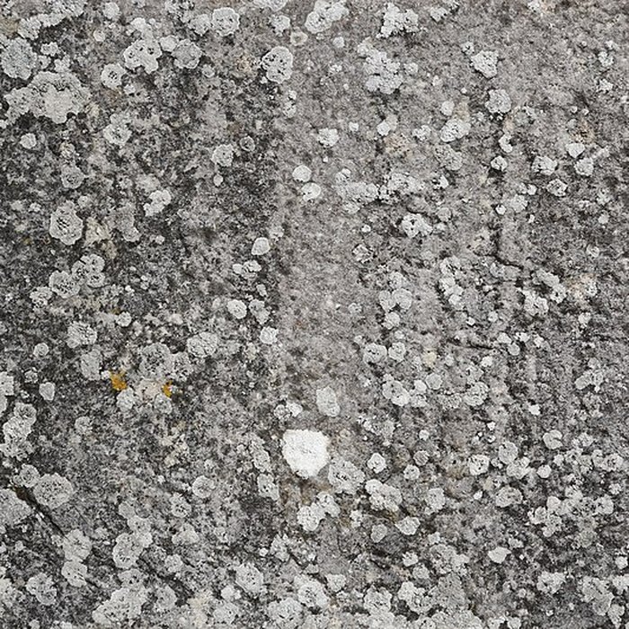 Photo de Église Saint-Rémy de Mittainville