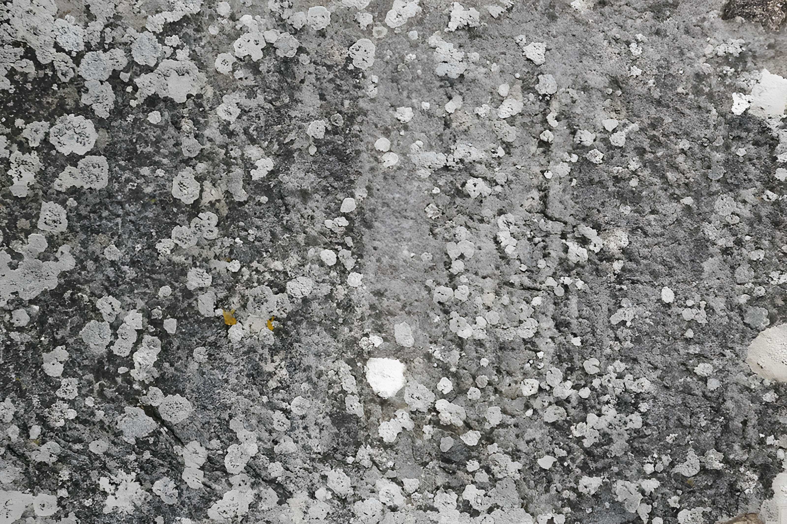 Église Saint-Rémy de Mittainville