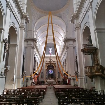 Cathédrale Notre-Dame-de-lAssomption de Montauban