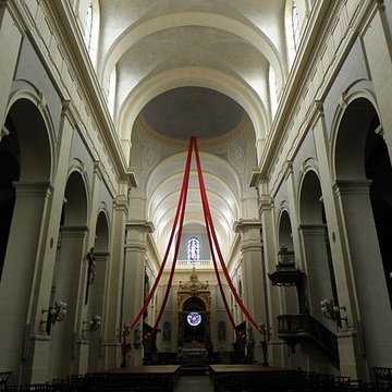 Cathédrale Notre-Dame-de-lAssomption de Montauban