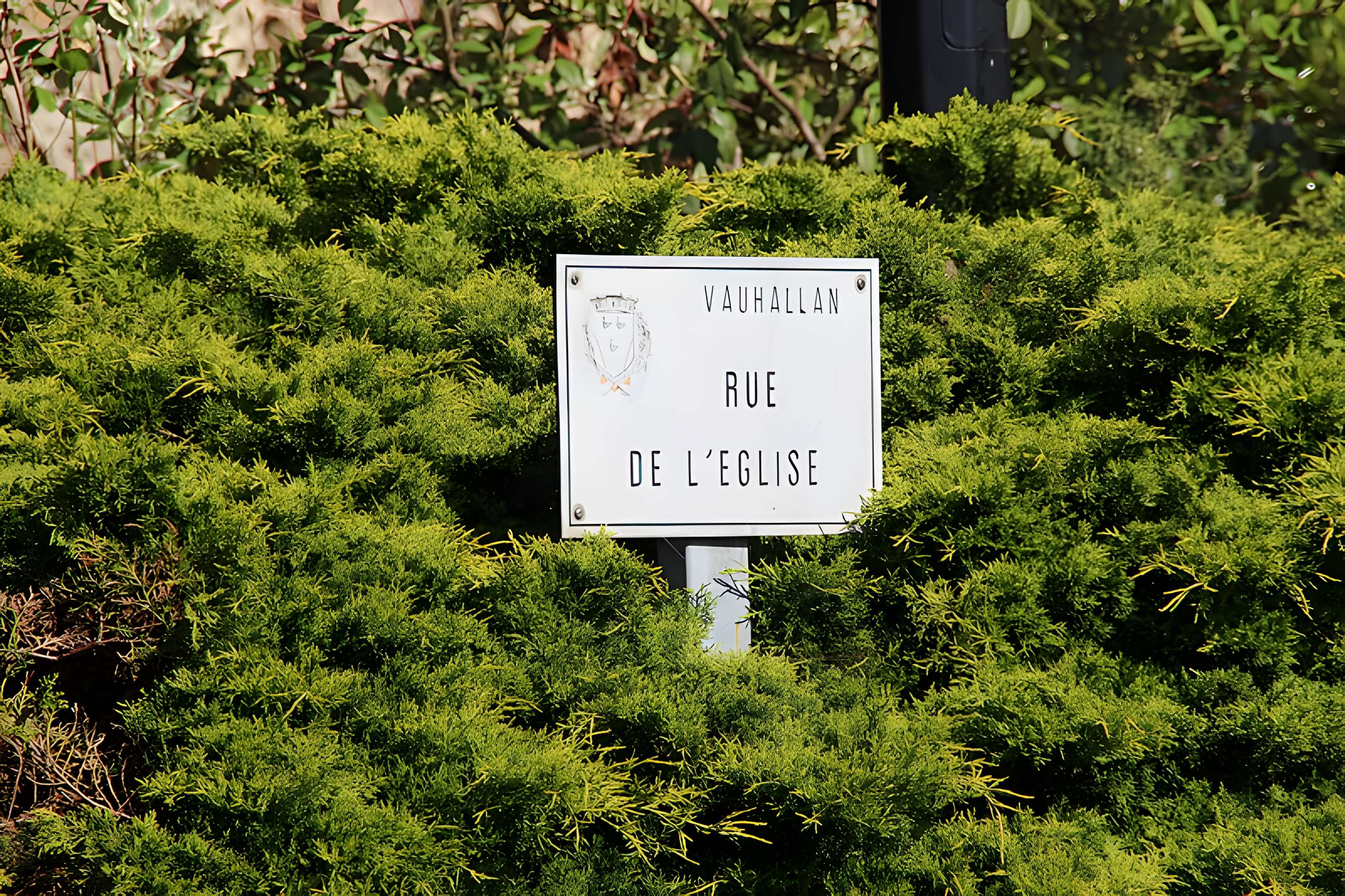 Église Saint-Rigomer-et-Sainte-Ténestine de Vauhallan