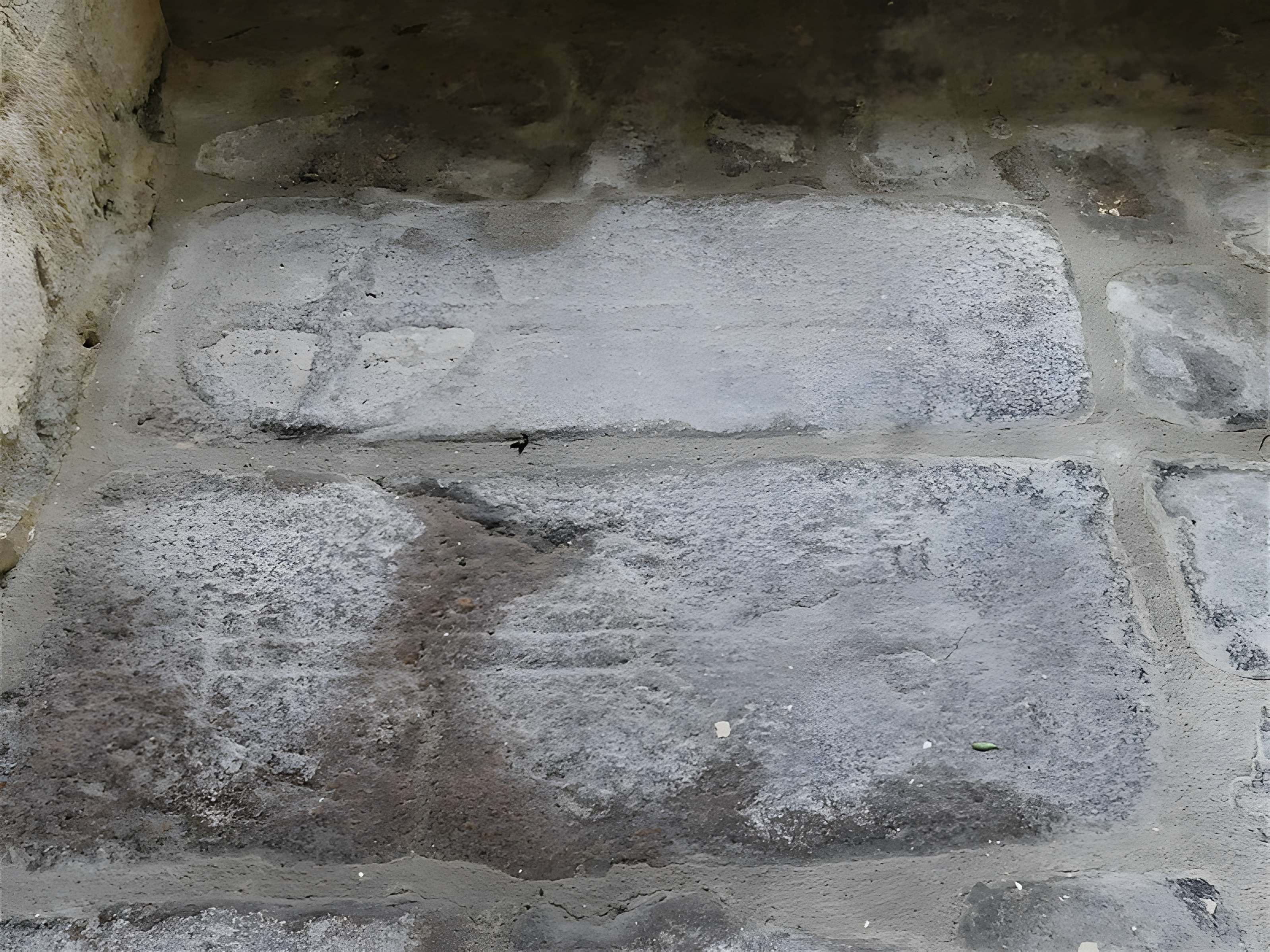 Eglise Saint-Roch et de l'Assomption de Notre-Dame