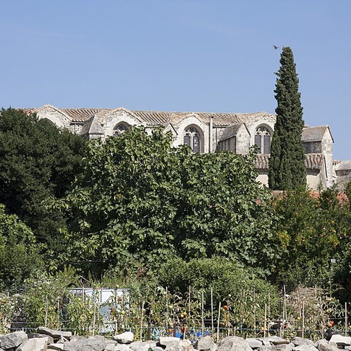 Photo de Église Saint-Saturnin de Calvisson