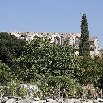 Église Saint-Saturnin de Calvisson