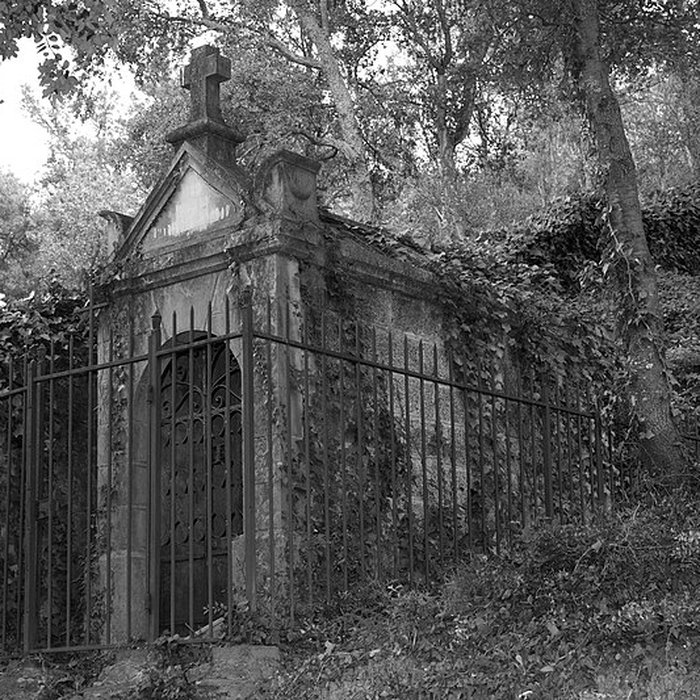 Photo de Église Saint-Saturnin de Montauriol