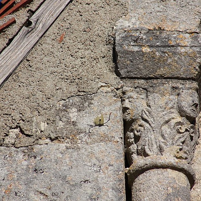 Photo de Église Saint-Saturnin de Vouillon