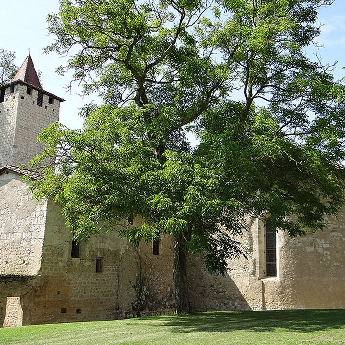 Photo de Église Saint-Sauveur de Faget-Abbatial