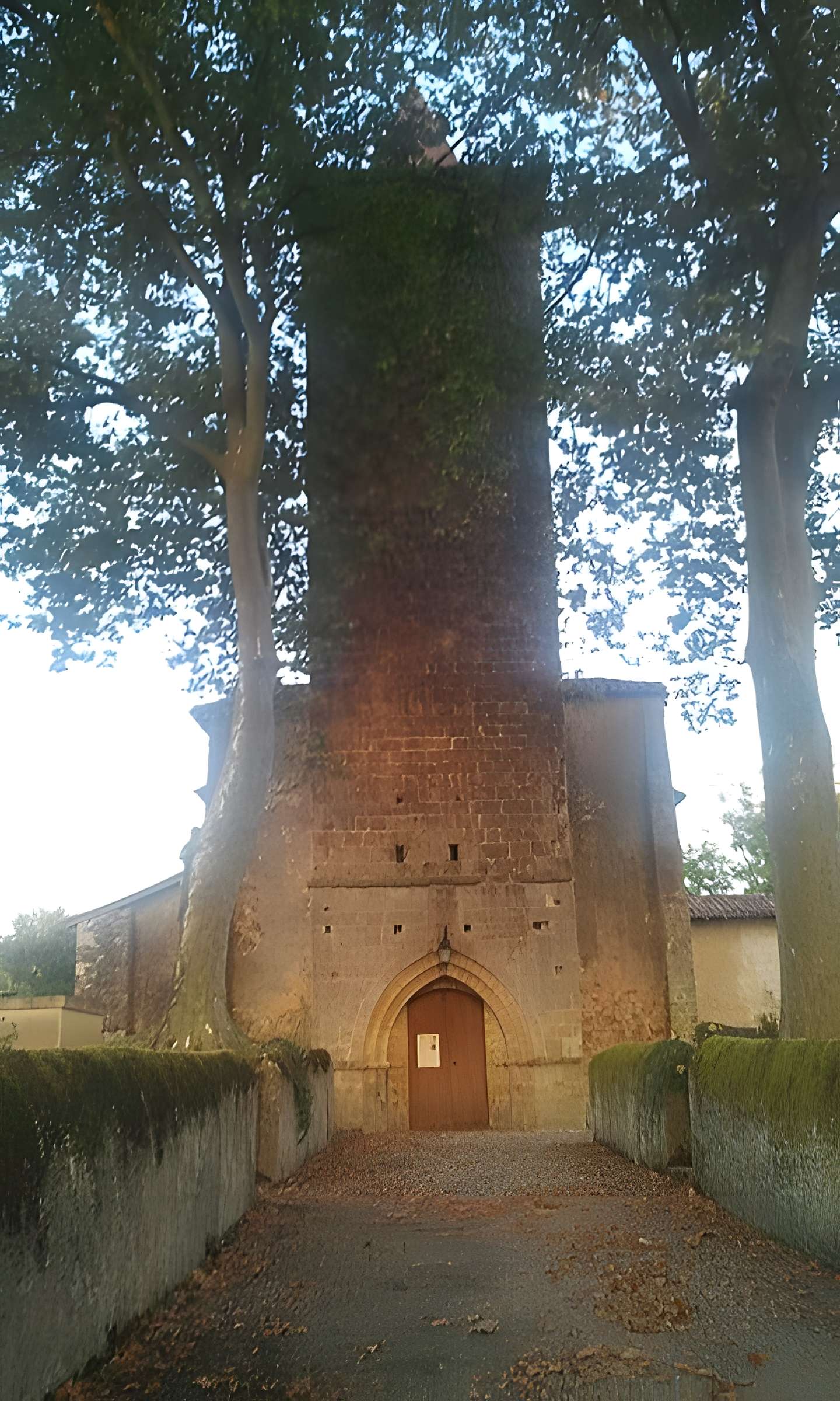 Église Saint-Sauveur de Faget-Abbatial