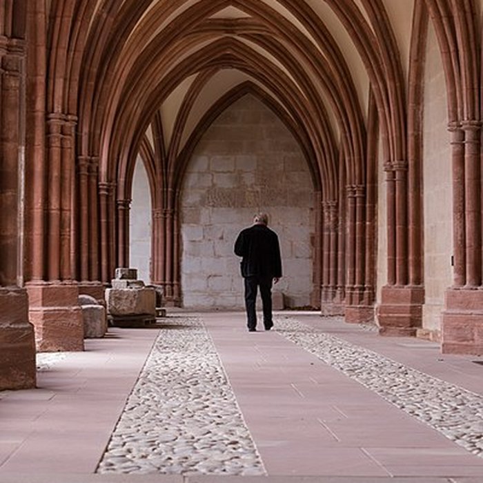 Photo de Cathédrale Saint-Dié de Saint-Dié-des-Vosges