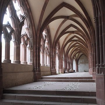 Cathédrale Saint-Dié de Saint-Dié-des-Vosges
