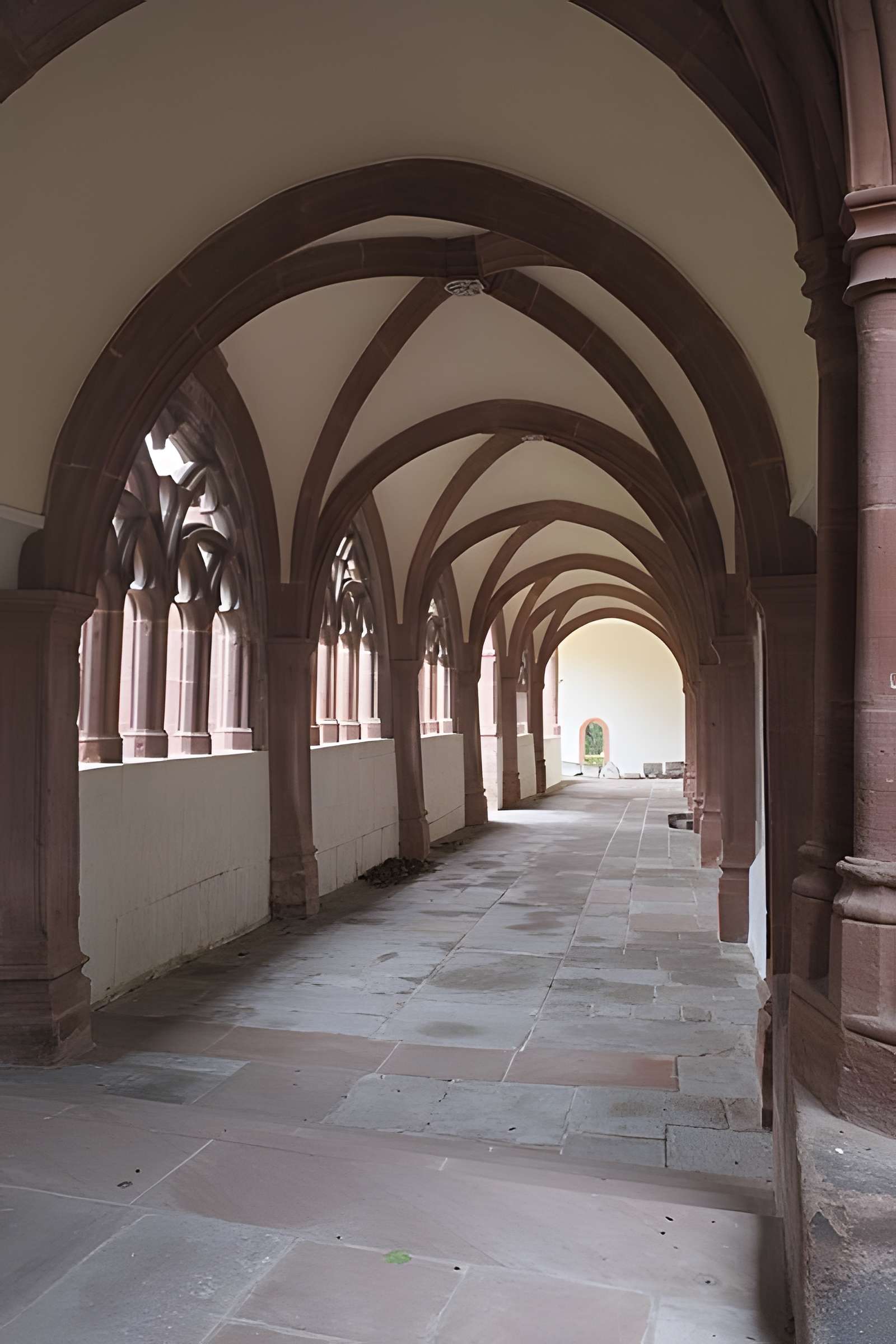 Cathédrale Saint-Dié de Saint-Dié-des-Vosges
