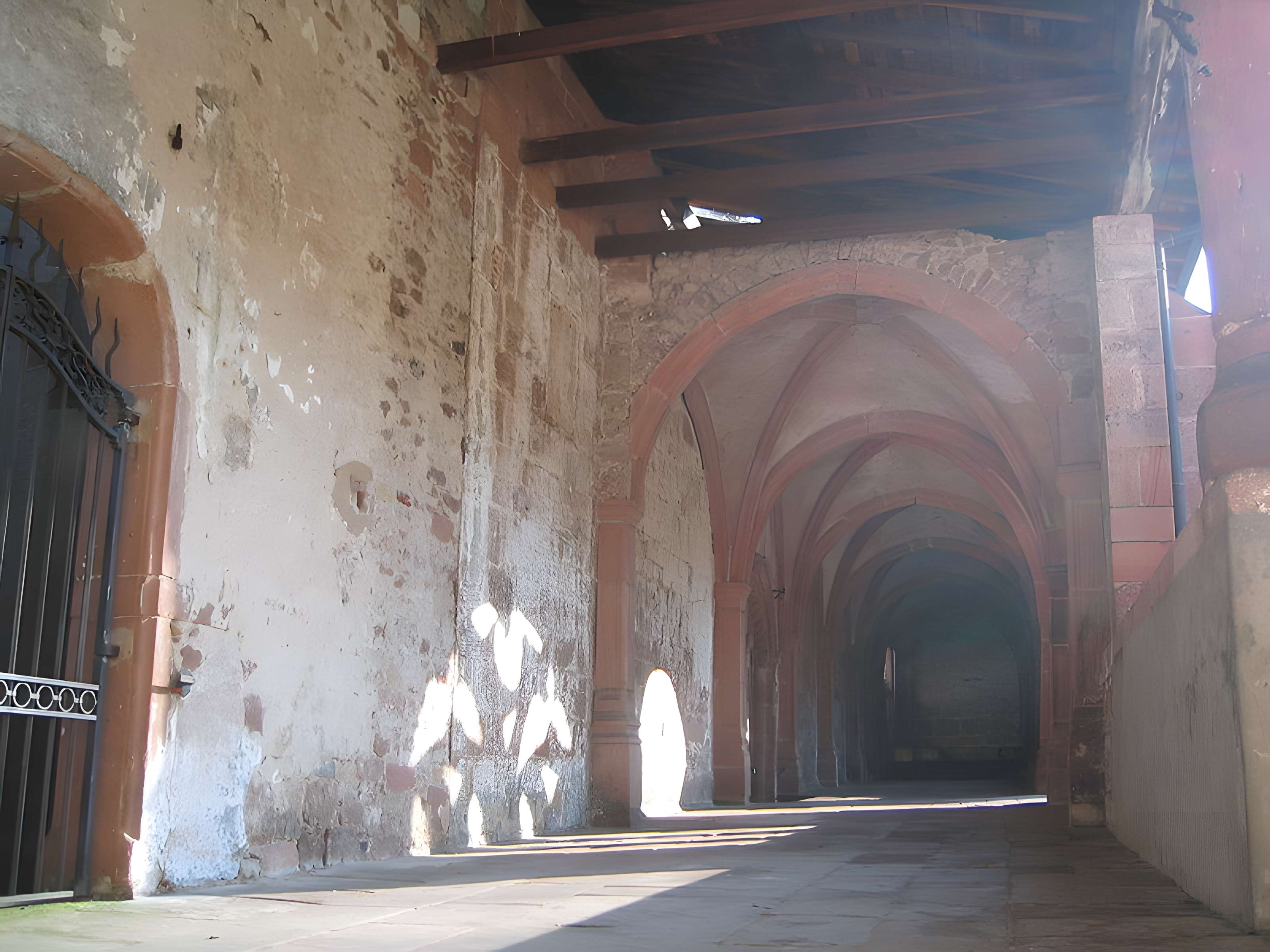 Cathédrale Saint-Dié de Saint-Dié-des-Vosges