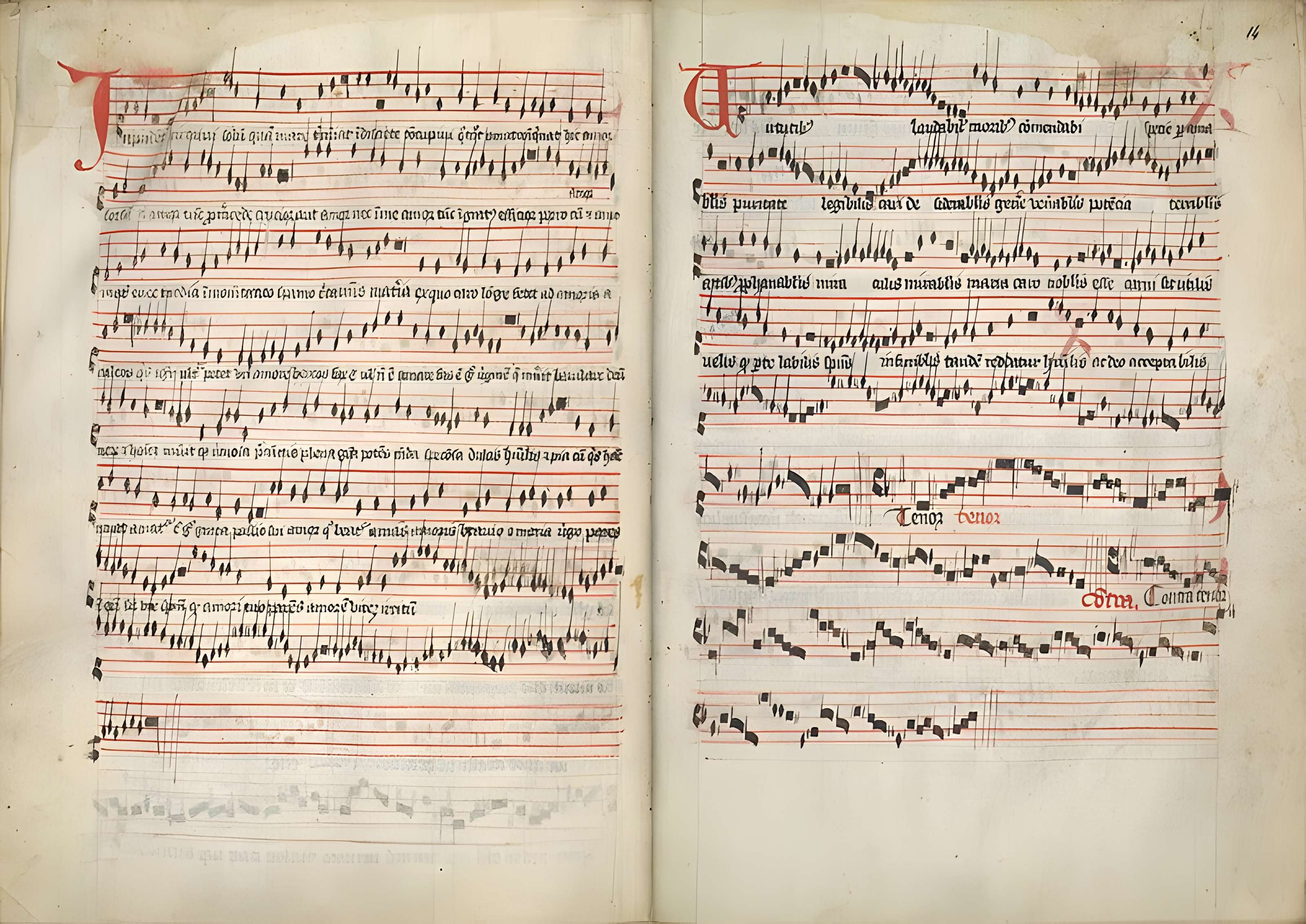 Cathédrale Sainte-Anne d'Apt 