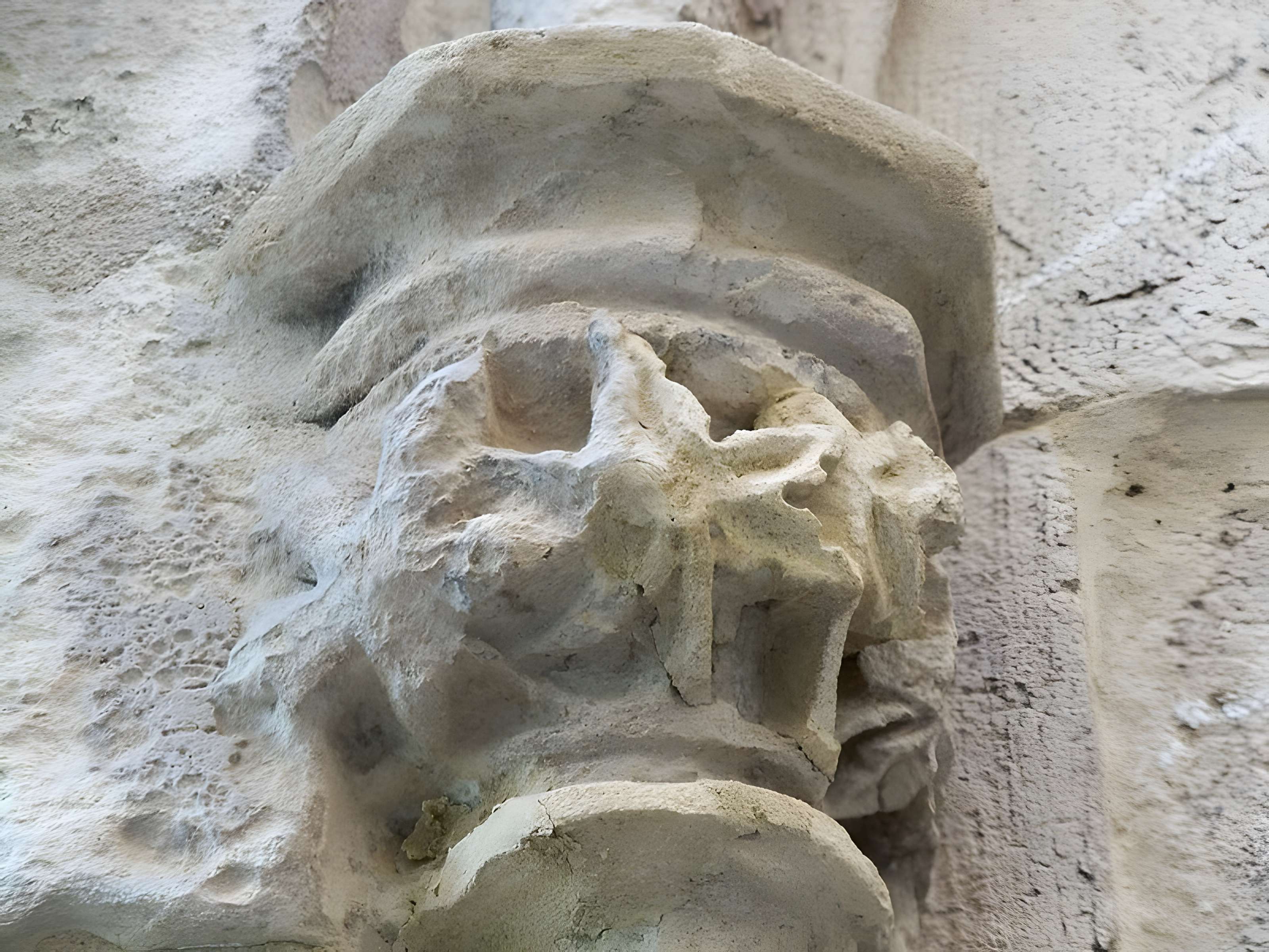 Cathédrale Sainte-Anne d'Apt 