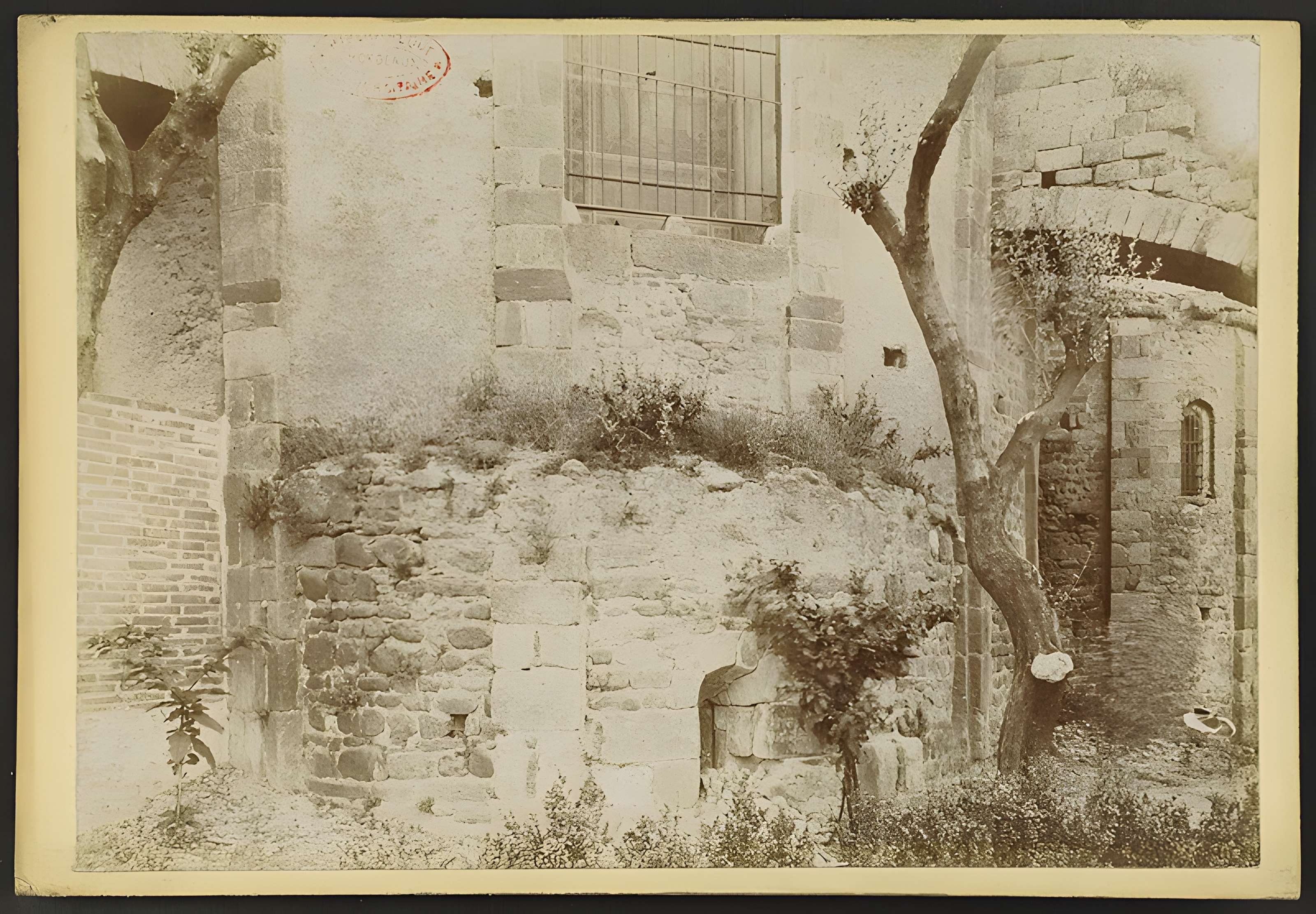 Cathédrale Sainte-Eulalie-et-Sainte-Julie d'Elne