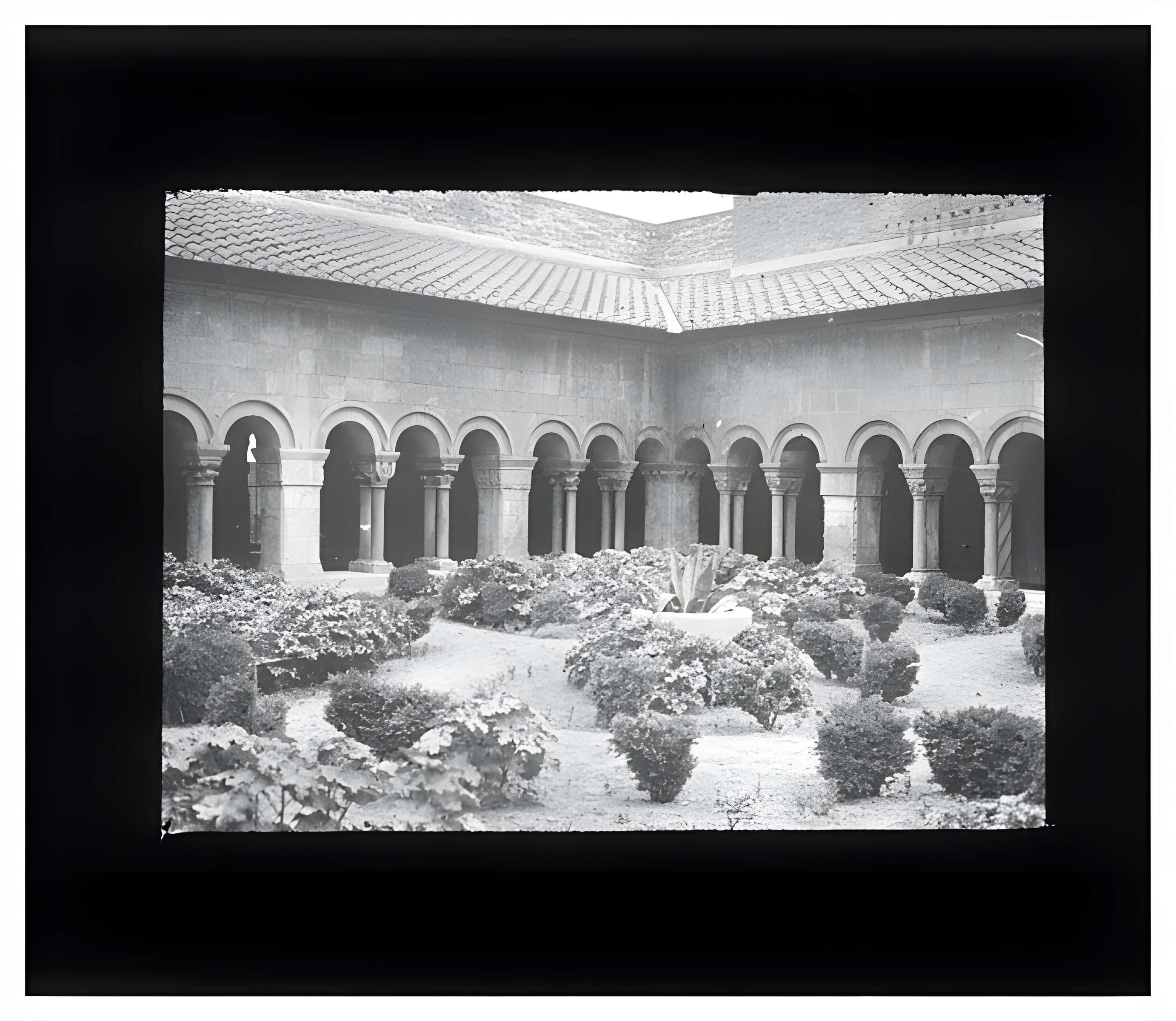 Cathédrale Sainte-Eulalie-et-Sainte-Julie d'Elne