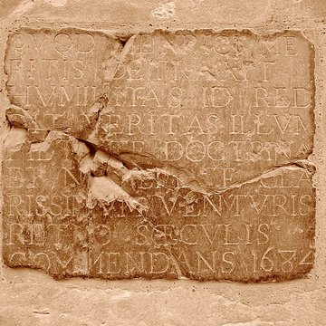 Cathédrale Sainte-Marie dAuch 