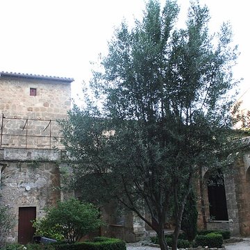 Cathédrale Saint-Fulcran de Lodève