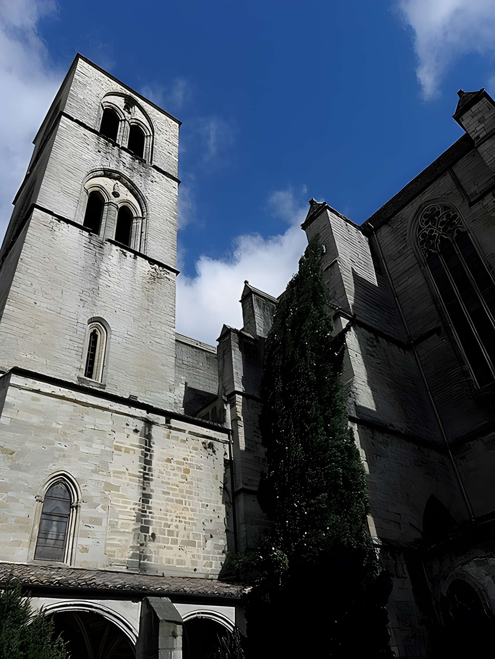Cathédrale Saint-Fulcran de Lodève