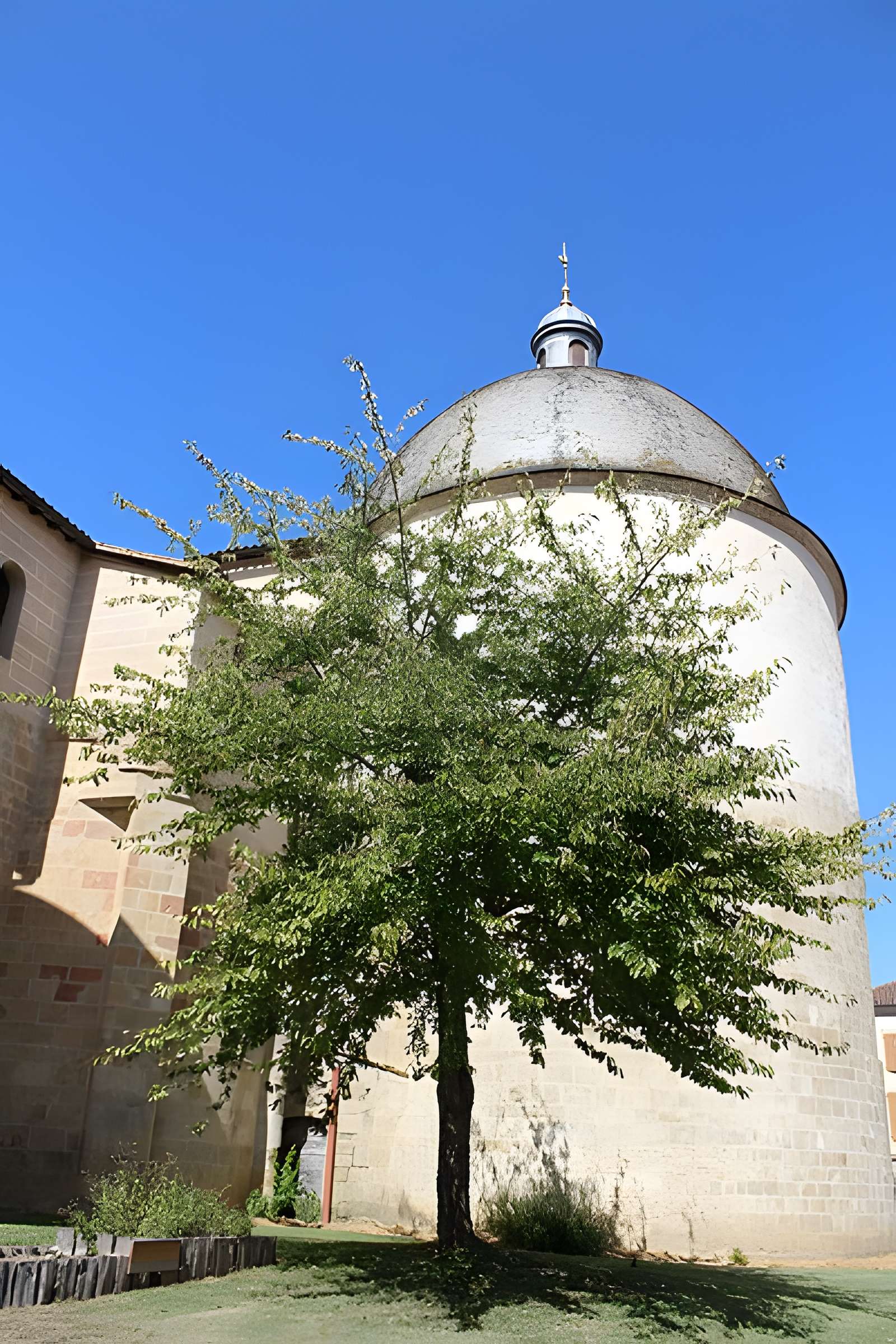 Cathédrale Saint-Jean-Baptiste d'Aire