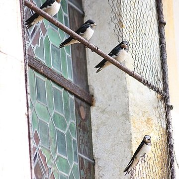 Église Saint-Sulpice de Ry