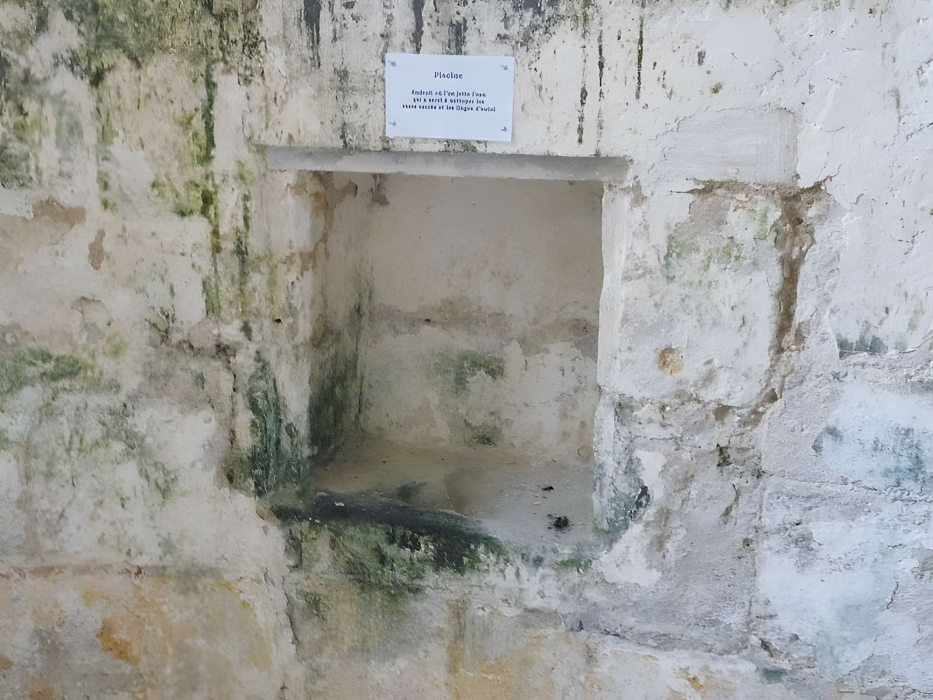 Église Saint-Surin de Châteauneuf-sur-Charente