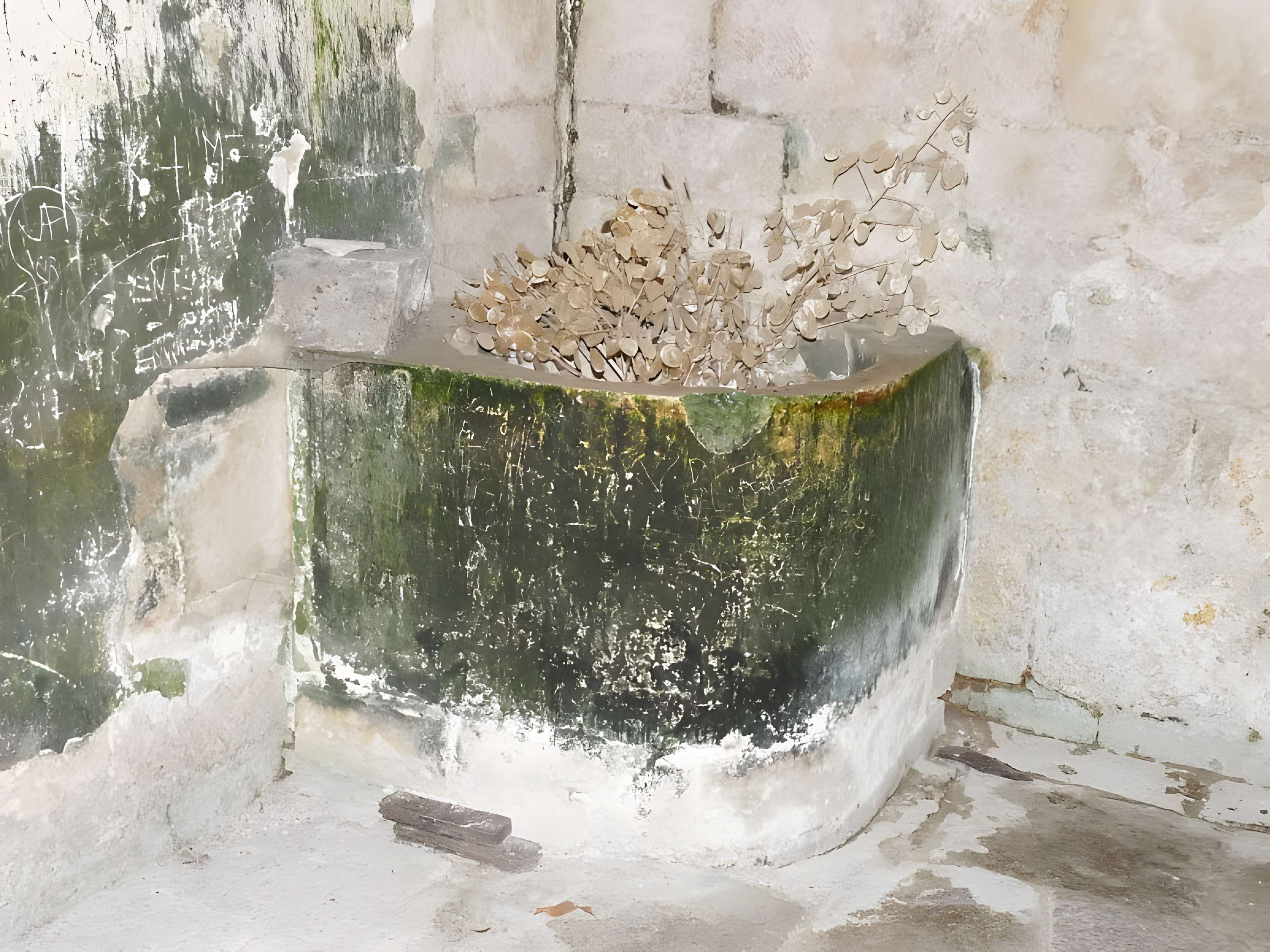 Église Saint-Surin de Châteauneuf-sur-Charente