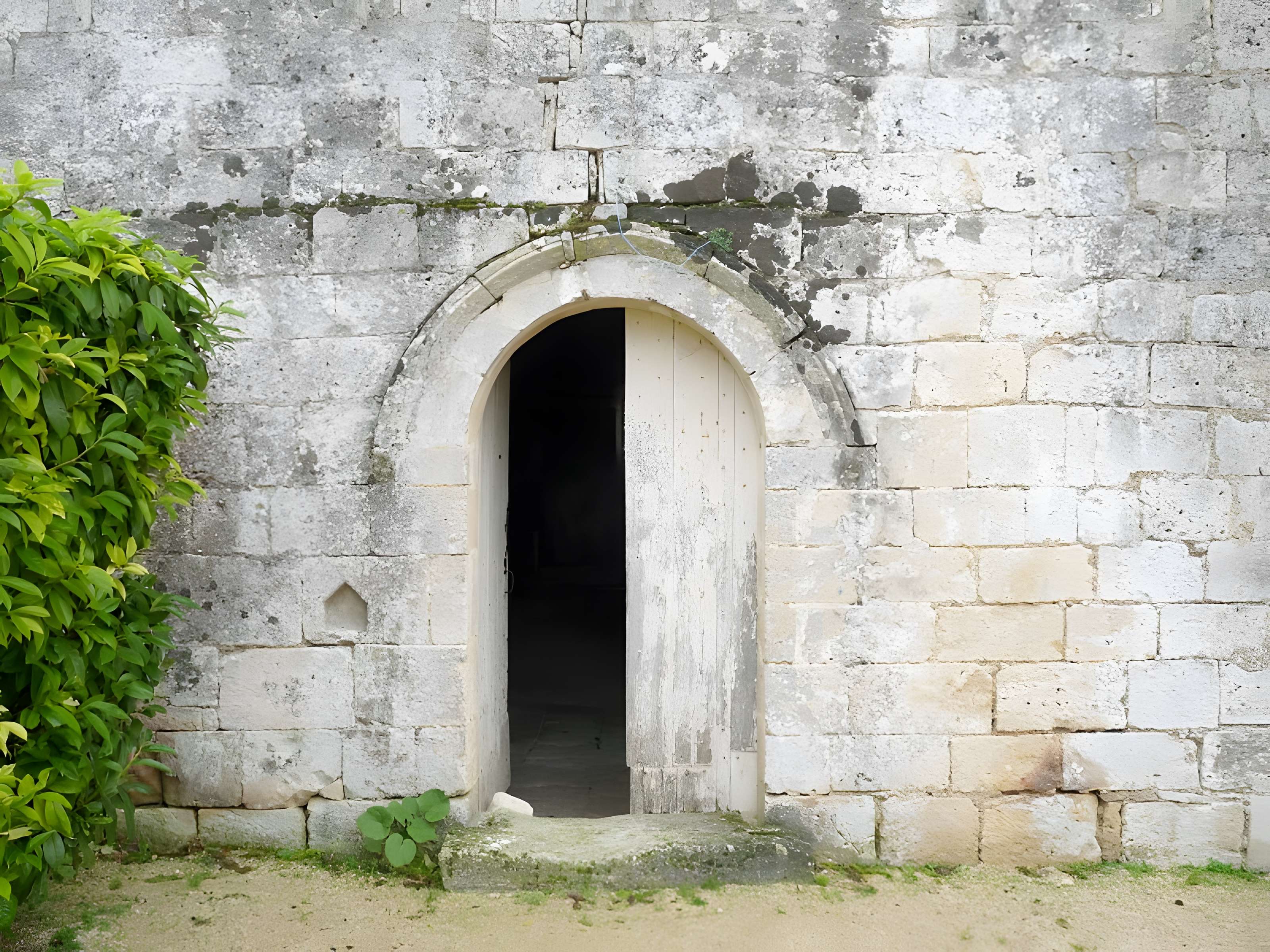 Église Saint-Surin de Châteauneuf-sur-Charente