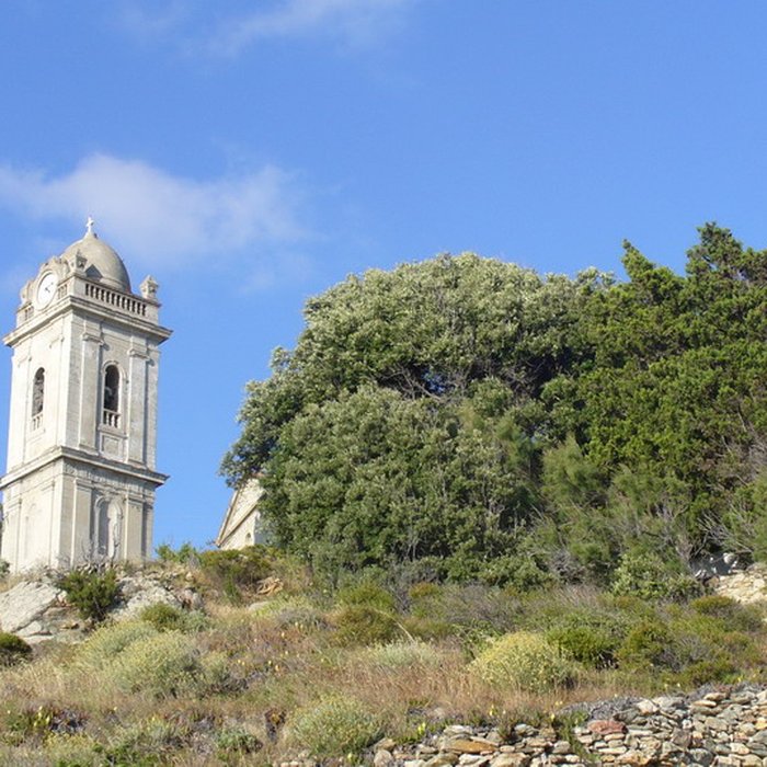 Photo de Église Saint-Sylvestre de Centuri
