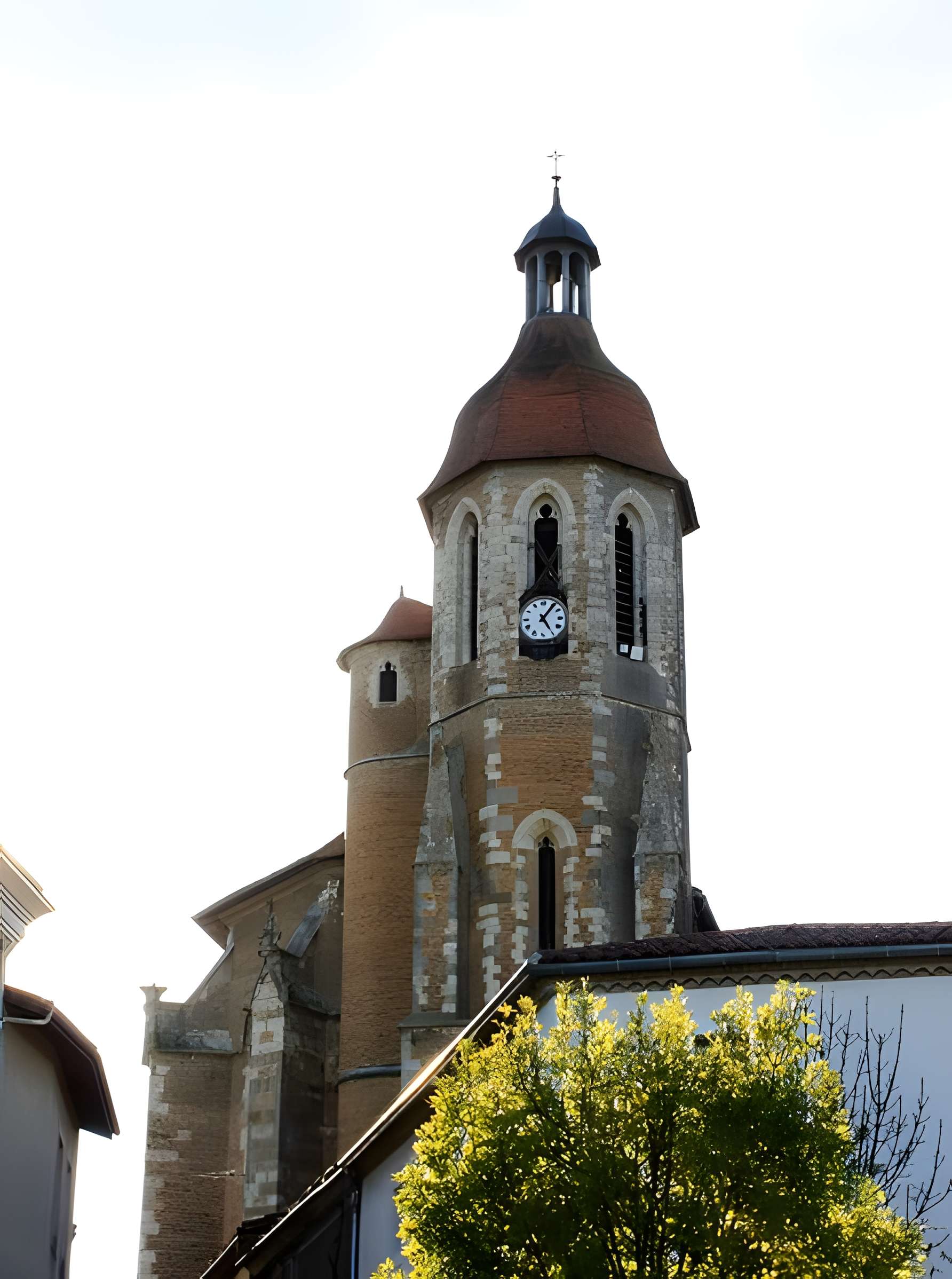 Cathédrale Saint-Luperc d'Eauze