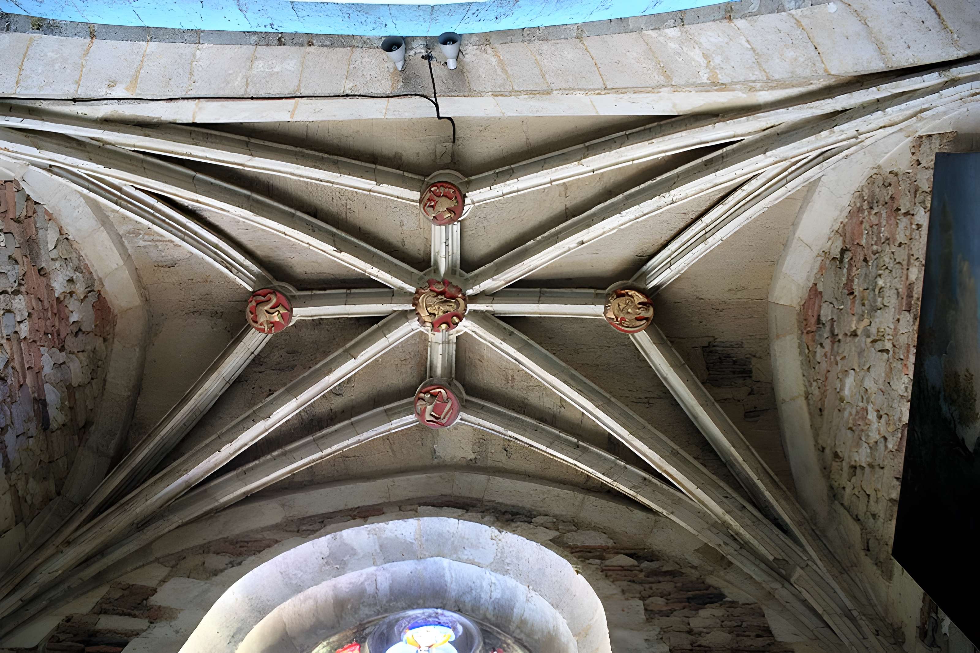 Cathédrale Saint-Luperc d'Eauze