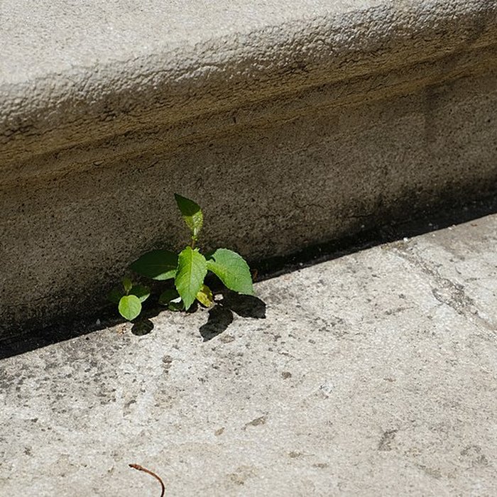 Photo de Cathédrale Saint-Pierre dAnnecy