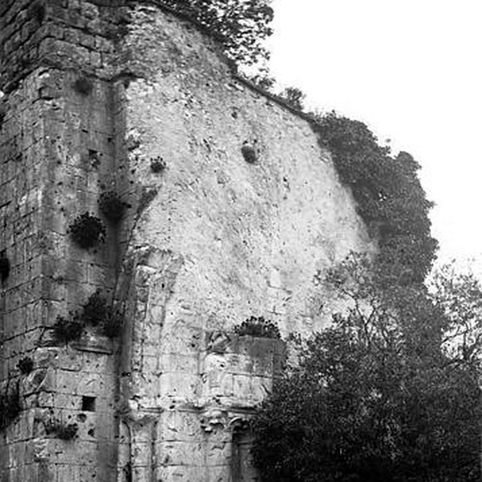 Photo de Église Saint-Thibault de Provins