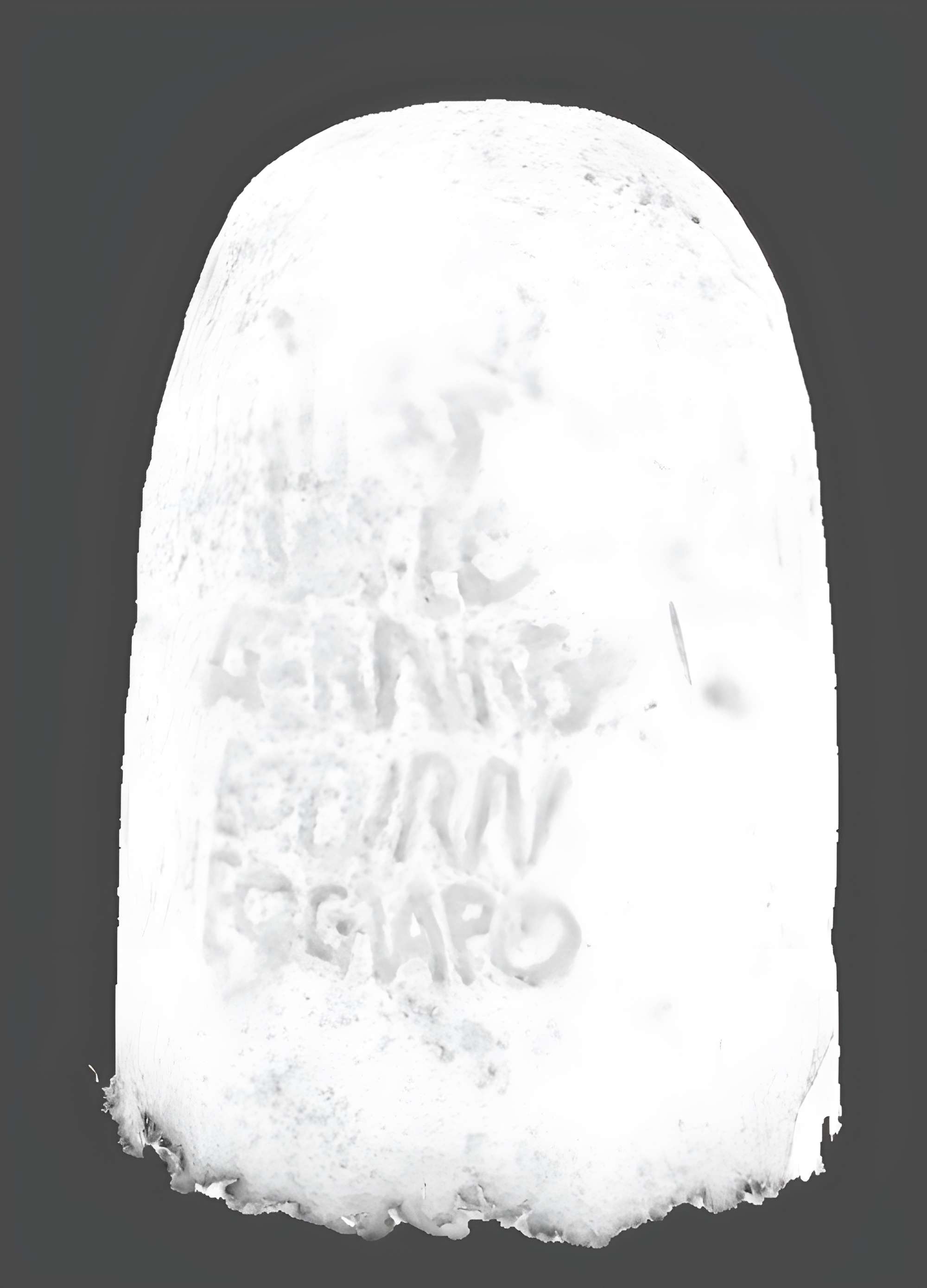 Église Saint-Thuriau de Plumergat