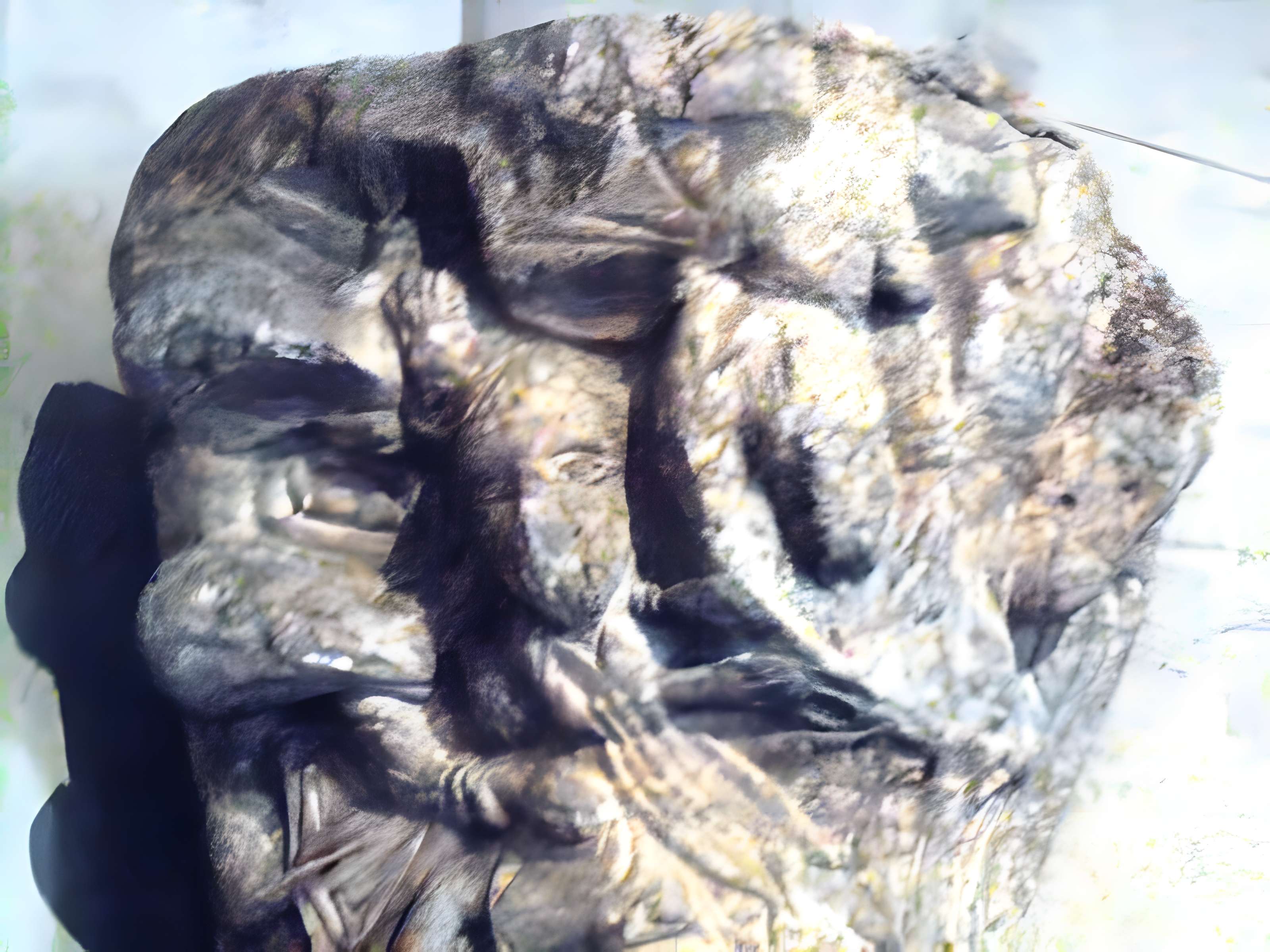 Cathédrale Saint-Pons de Saint-Pons-de-Thomières