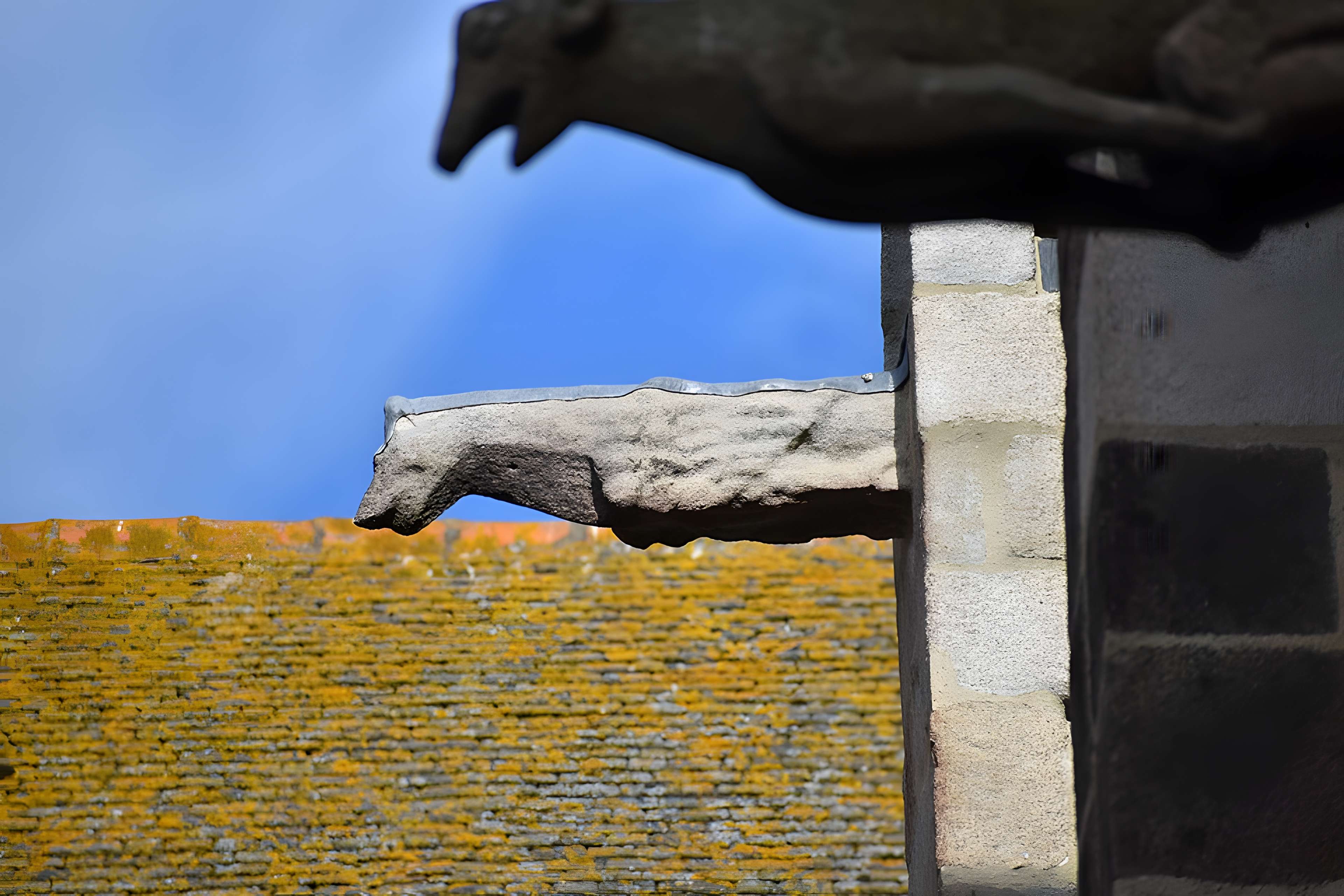 Cathédrale Saint-Vincent de Saint-Malo