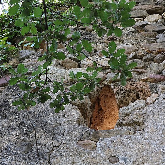 Photo de Église Saint-Vincent de Fourques