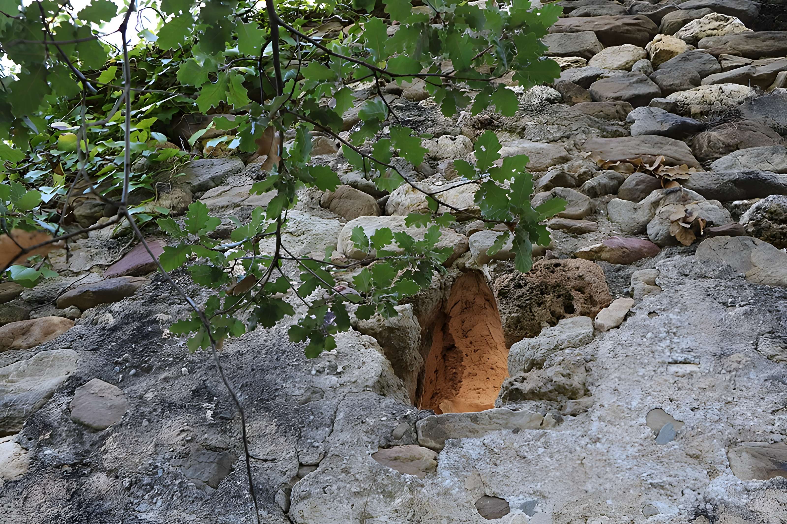 Église Saint-Vincent de Fourques