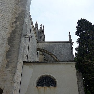 Cathédrale Saint-Vincent de Viviers