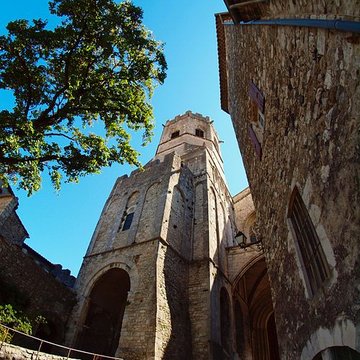 Cathédrale Saint-Vincent de Viviers