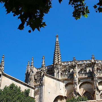 Cathédrale Saint-Vincent de Viviers