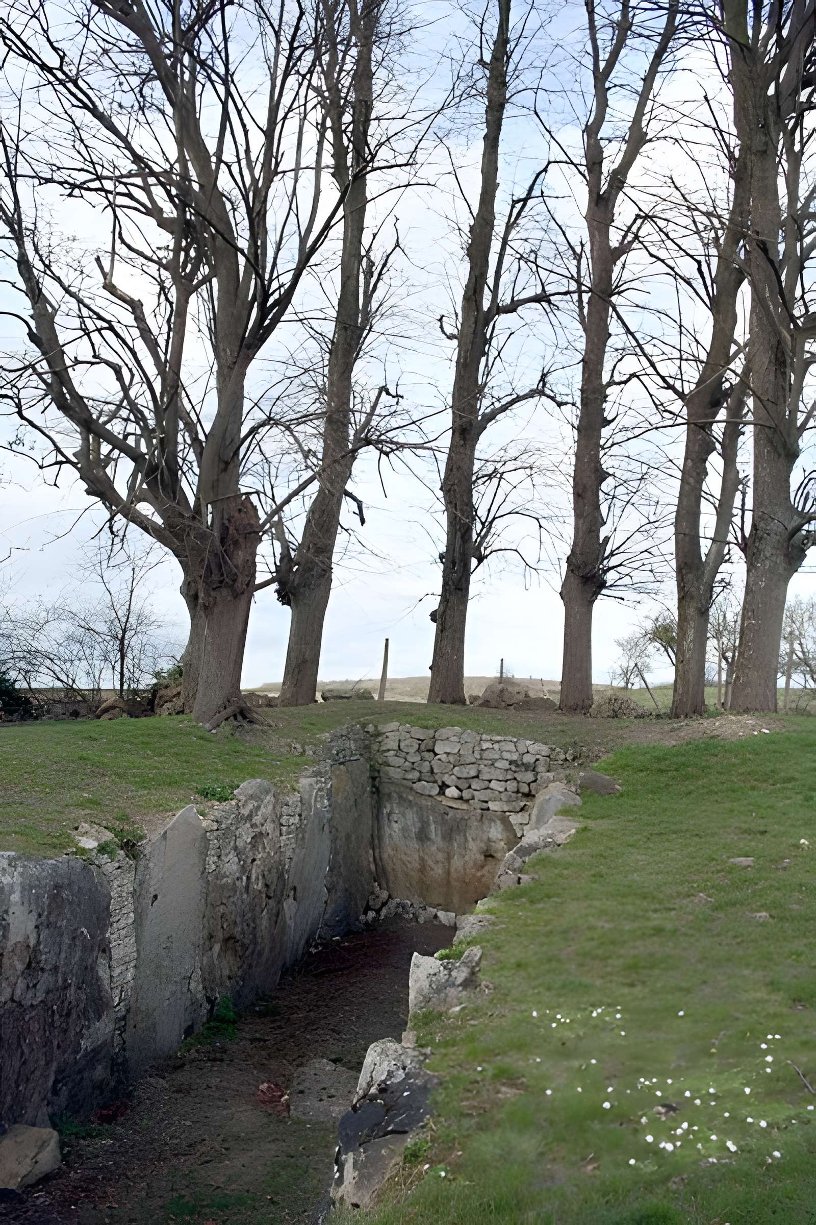 Cave aux Fées de Brueil-en-Vexin