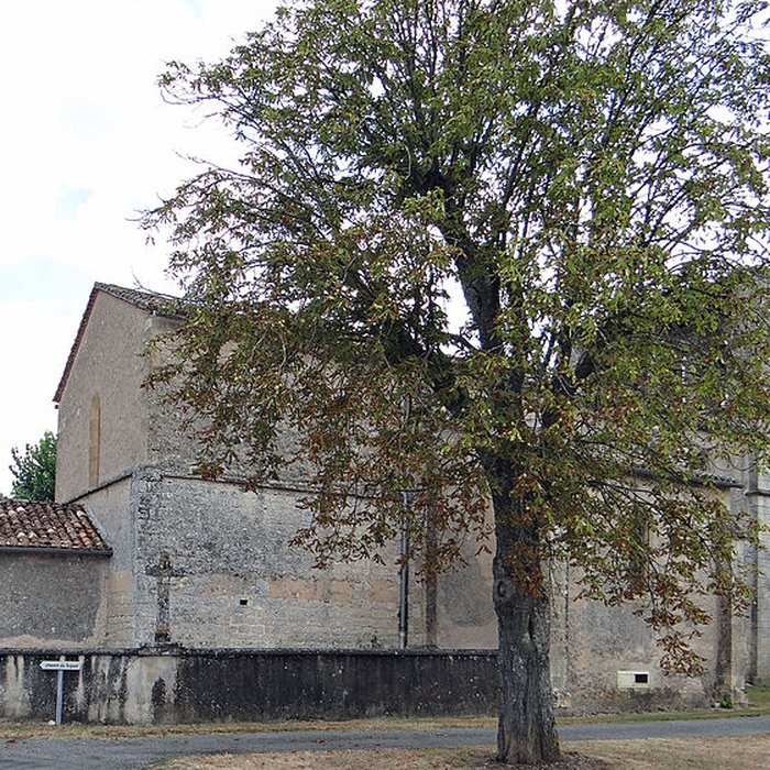 Photo de Église Saint-Vincent de Souliès