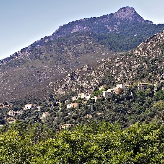 Photo de Église San Michele de Castirla