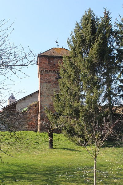 Photo de Enceinte de Bâgé-le-Châtel