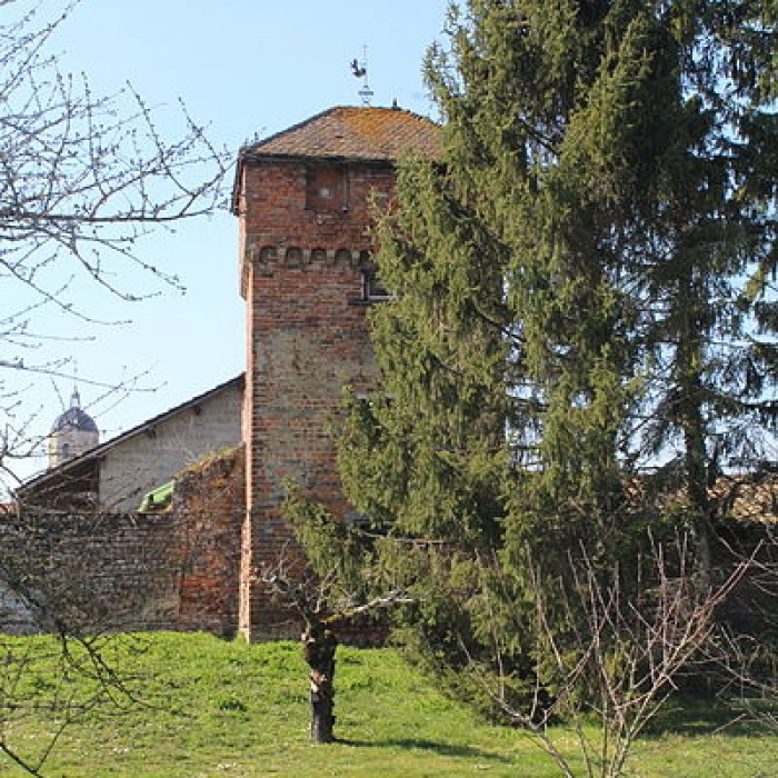 Photo de Enceinte de Bâgé-le-Châtel