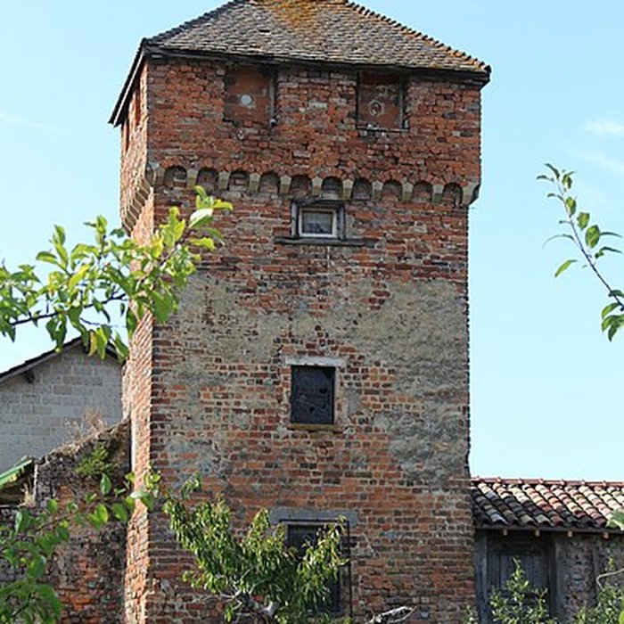 Photo de Enceinte de Bâgé-le-Châtel