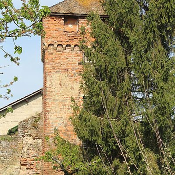 Photo de Enceinte de Bâgé-le-Châtel