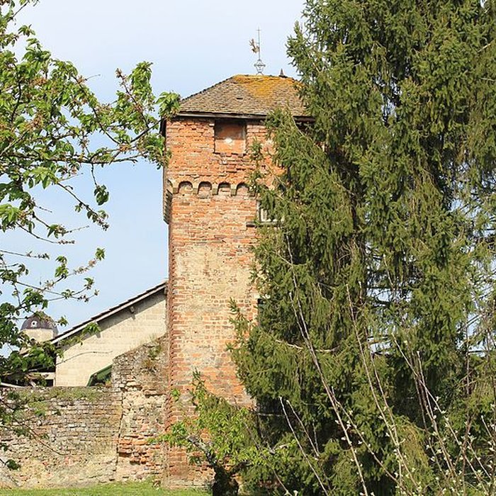 Photo de Enceinte de Bâgé-le-Châtel