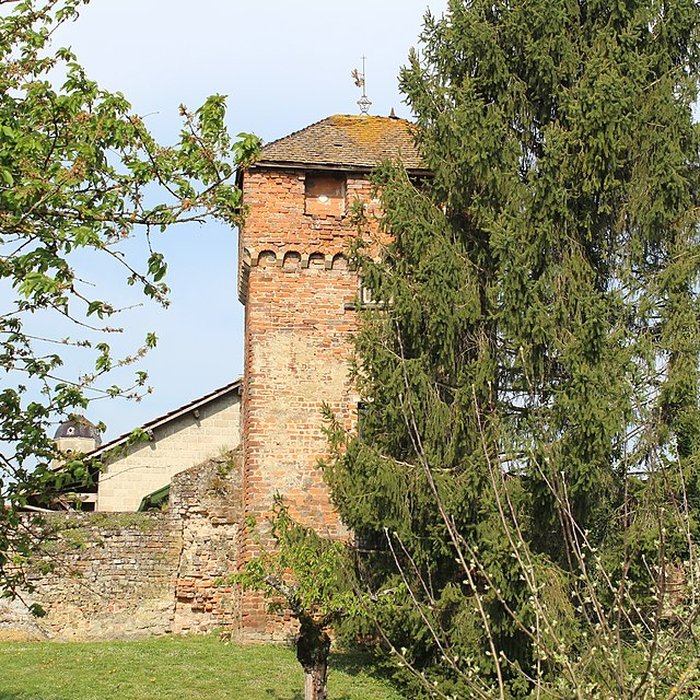 Photo de Enceinte de Bâgé-le-Châtel